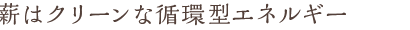 自然界の循環でクリーンなエネルギー